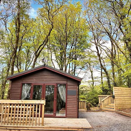 Woodland View -Hot Tub-Tenby-Carmarthen-St Clears Exteriör bild