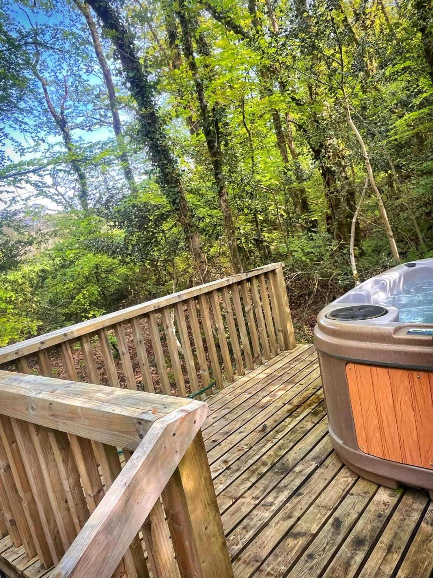 Woodland View -Hot Tub-Tenby-Carmarthen-St Clears Exteriör bild